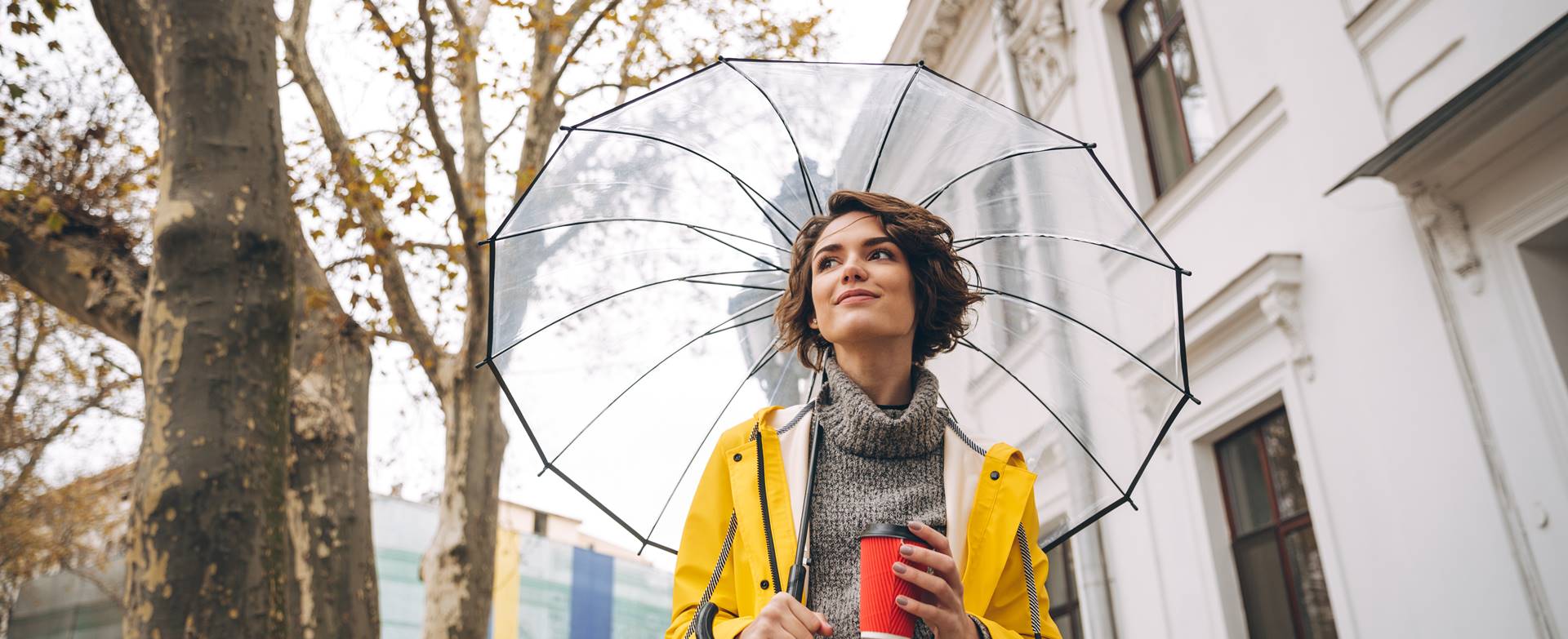 Климат в Германии: зоны, типы, особенности